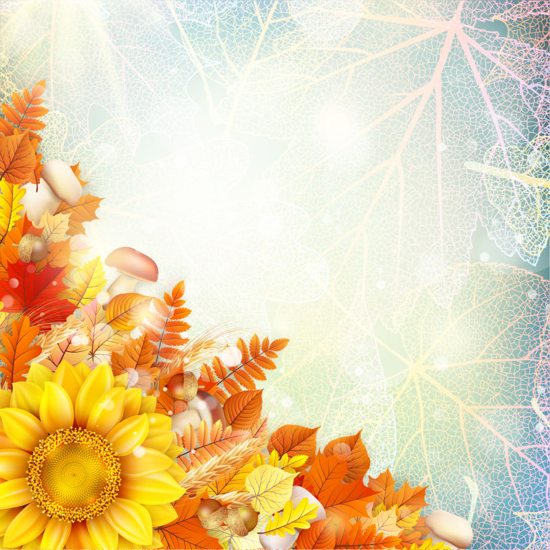 创意矢量秋季花卉元素的设计背景