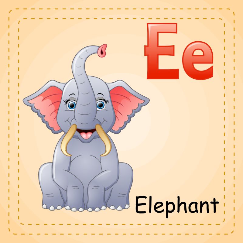 动物字母表E代表大象矢量