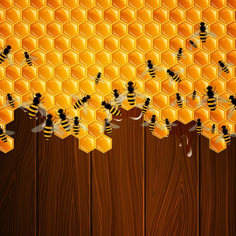 蜜蜂和木板背景矢量插图