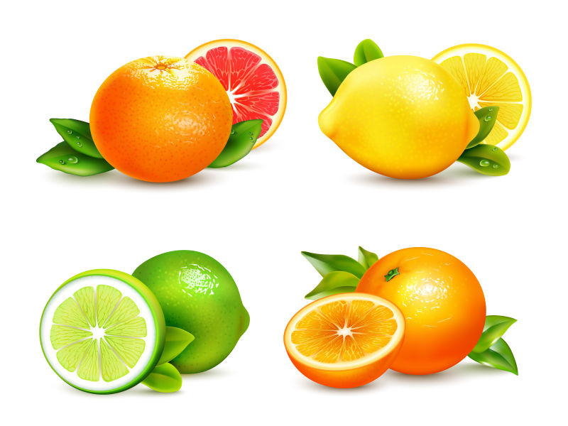 创意矢量新鲜的柑橘类水果设计