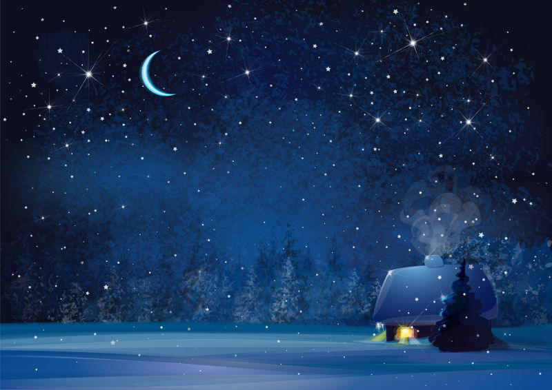 抽象矢量美丽的夜间冬季森林插图