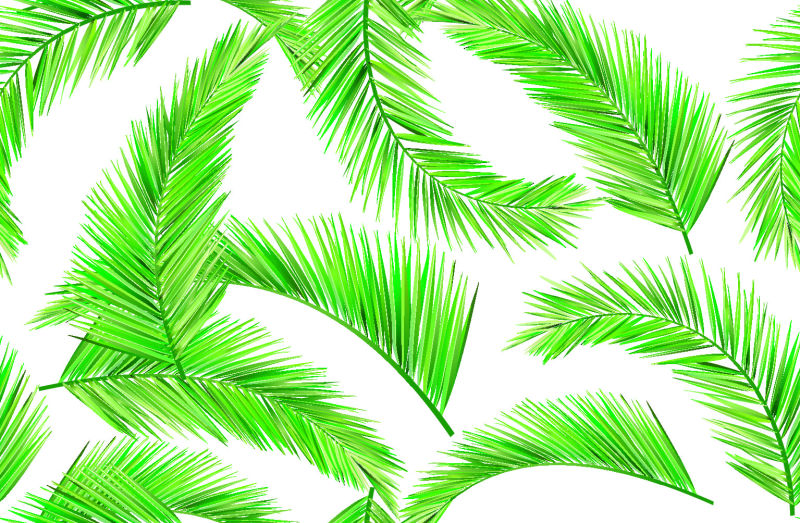 创意矢量棕榈树叶无缝背景
