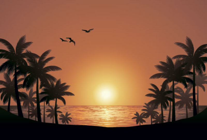 矢量夕阳下的棕榈树剪影插图