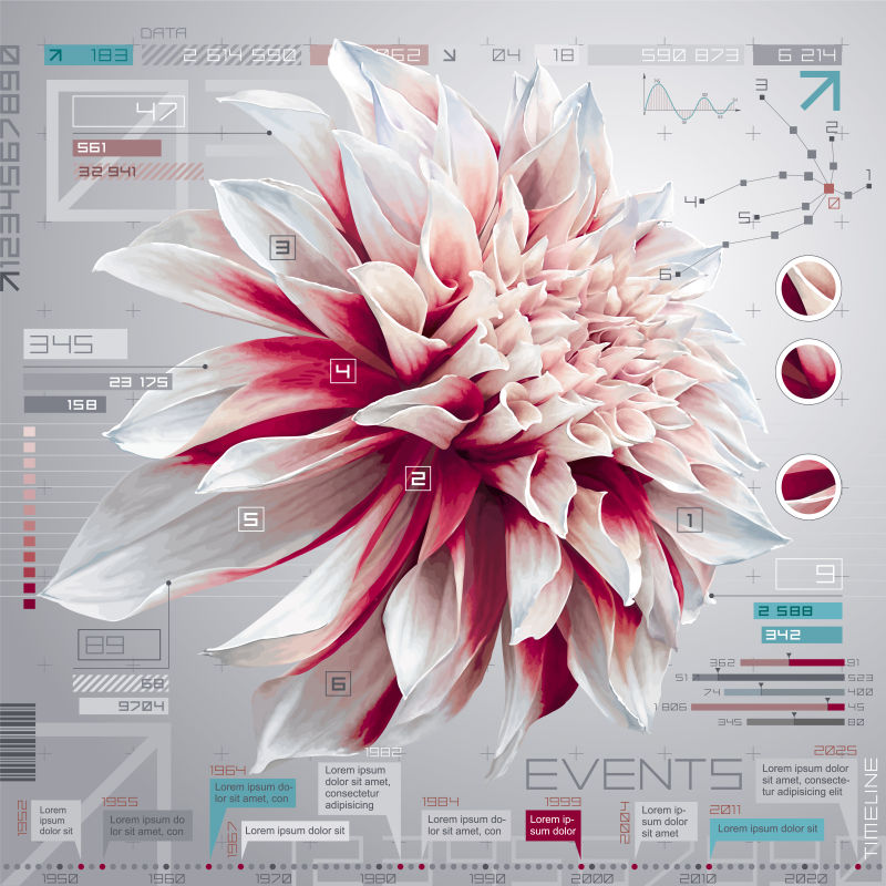抽象矢量花卉元素的信息图表
