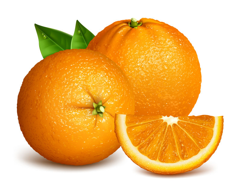 矢量新鲜的水果橙子