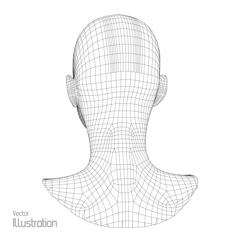 3D网格的人的头部背面矢量图