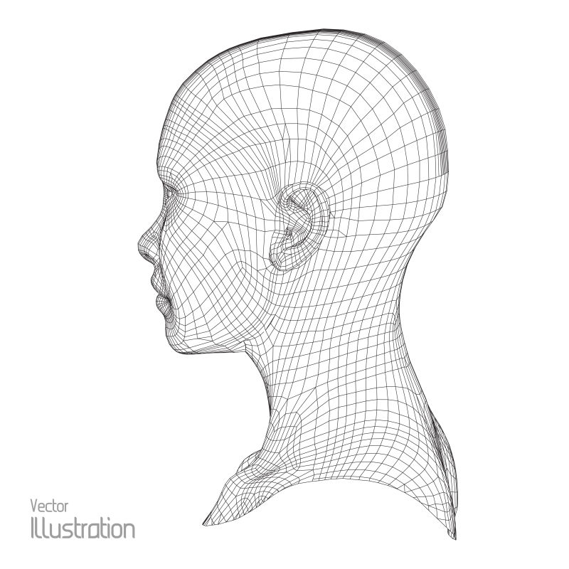 人体头部线模型矢量图