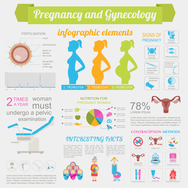 妇科和妊娠信息图表模板母性元素
