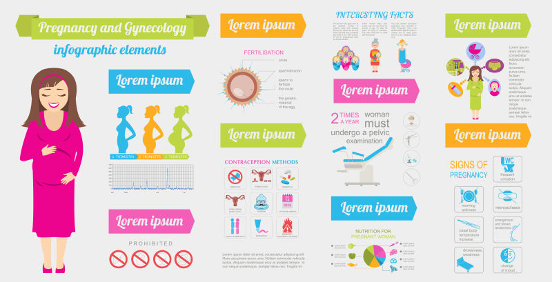 妇科和妊娠信息图表模板母性元素
