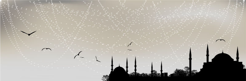 伊斯坦布尔的轮廓