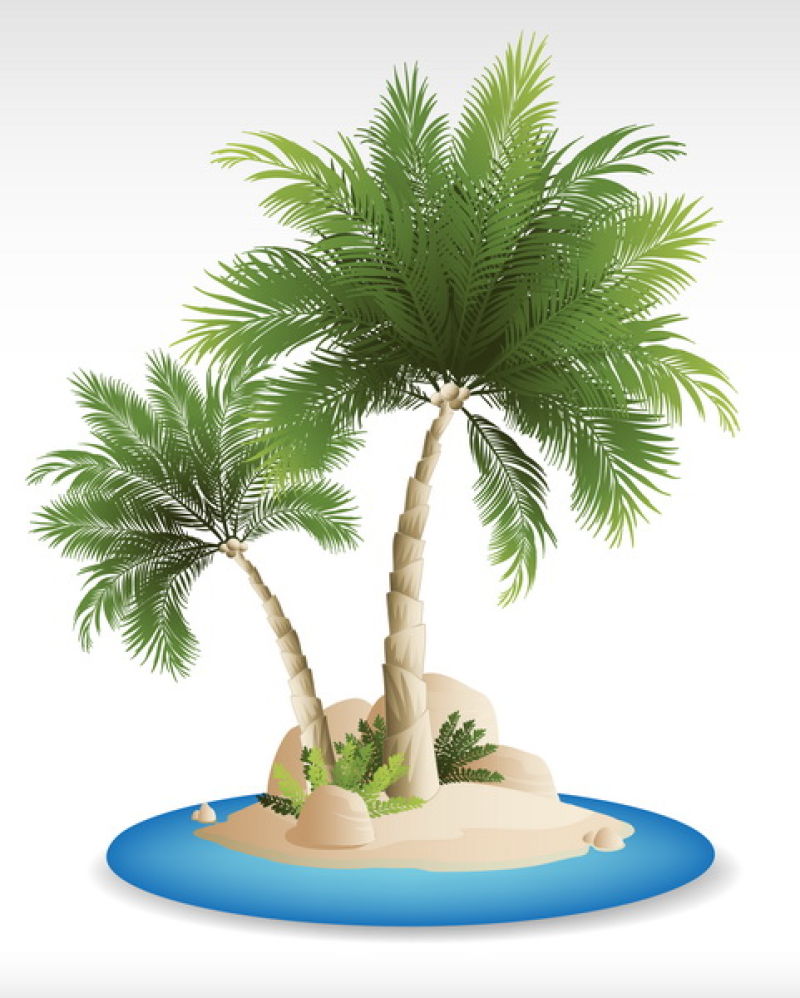 热带岛屿-有棕榈树和海浪