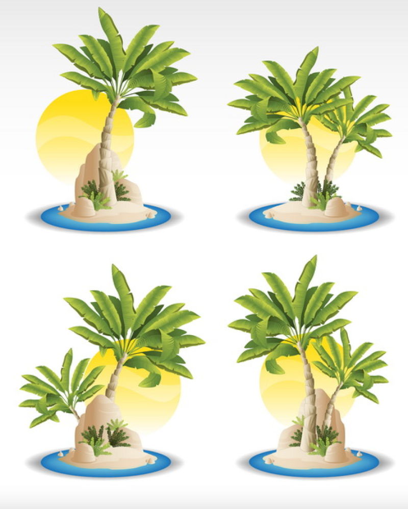 棕榈树孤岛示意图