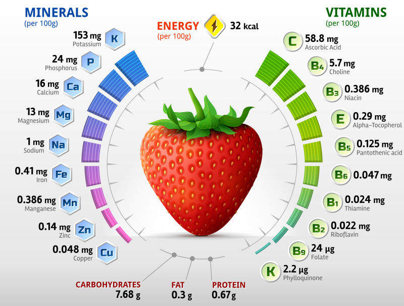 创意矢量草莓元素的信息图表设计