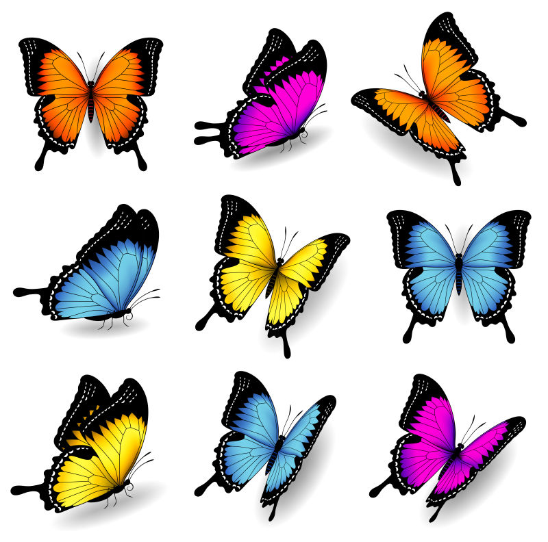 抽象矢量彩色蝴蝶设计