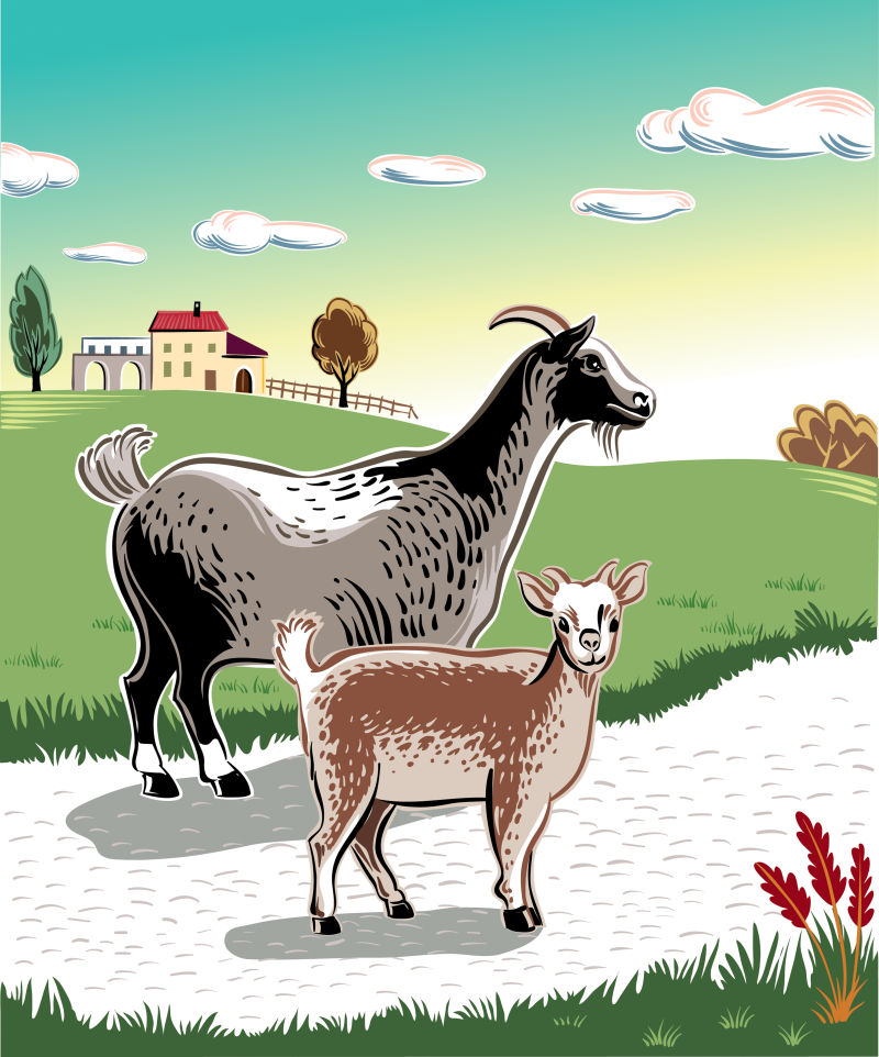 创意矢量现代乡间小路上的羊插图
