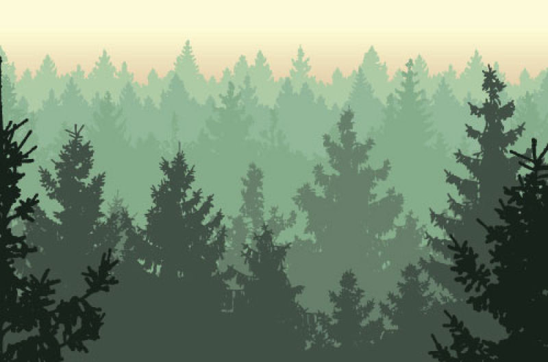 墨绿色森林背景矢量设计