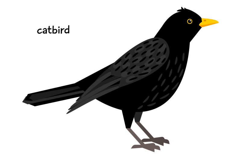 矢量黑色猫鸟设计