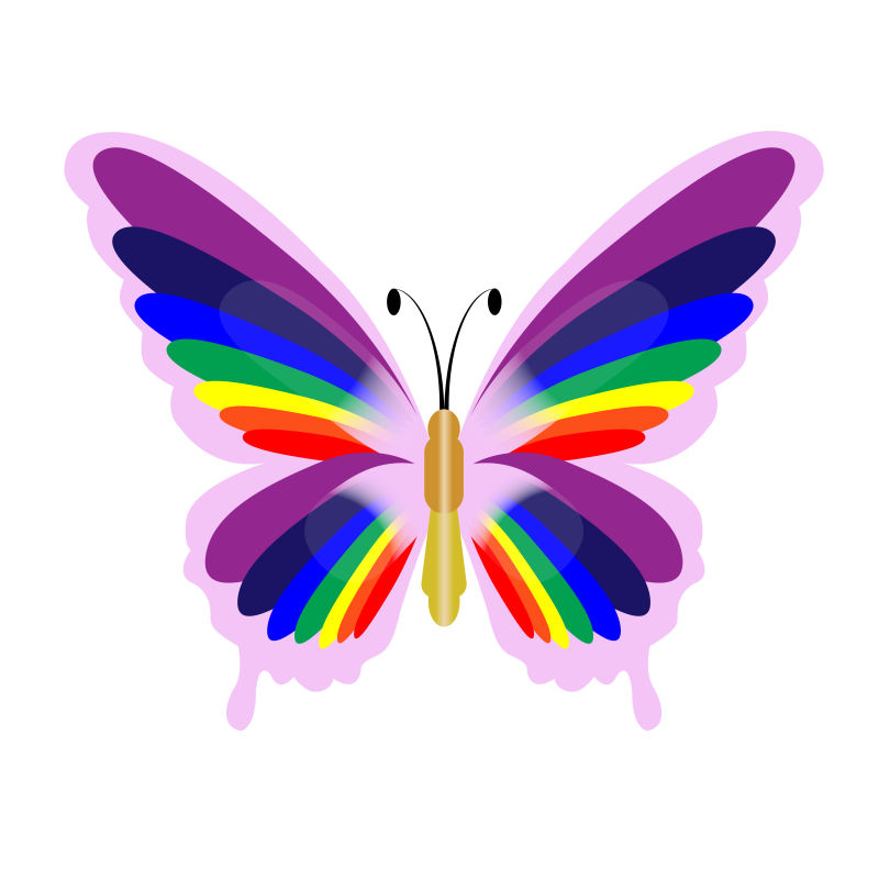 抽象矢量彩色蝴蝶设计插图