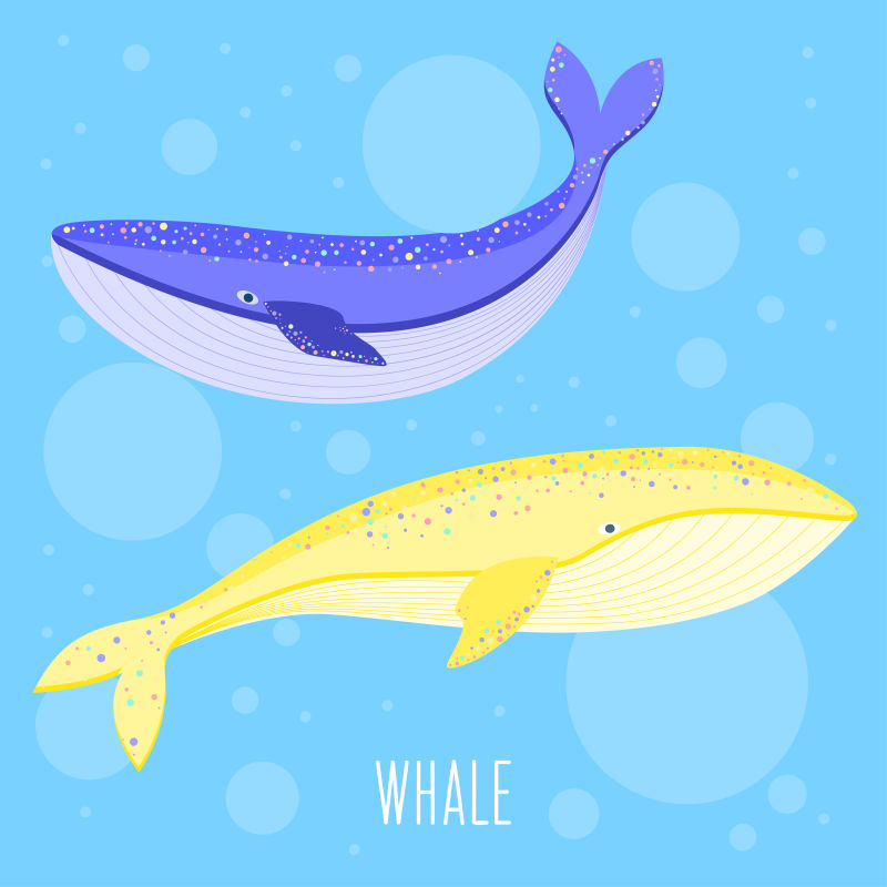 创意矢量黄色紫色卡通鲸鱼插图