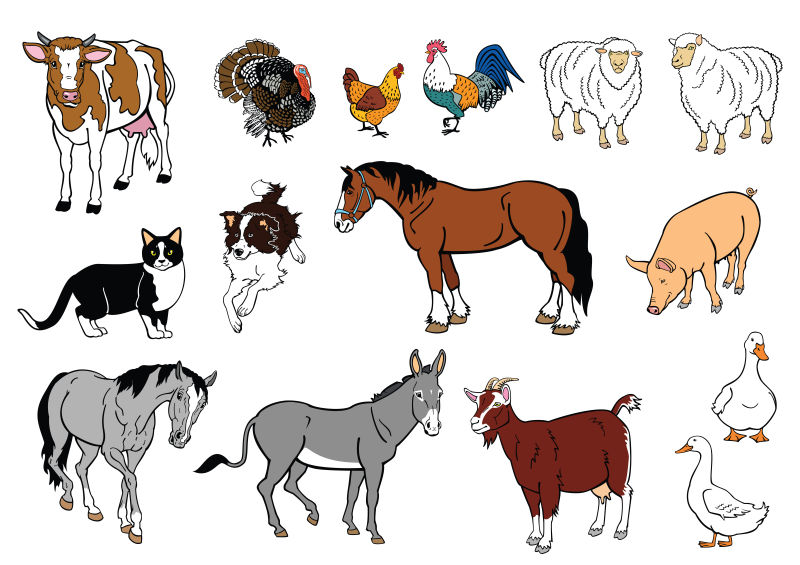矢量卡通农场动物创意插图