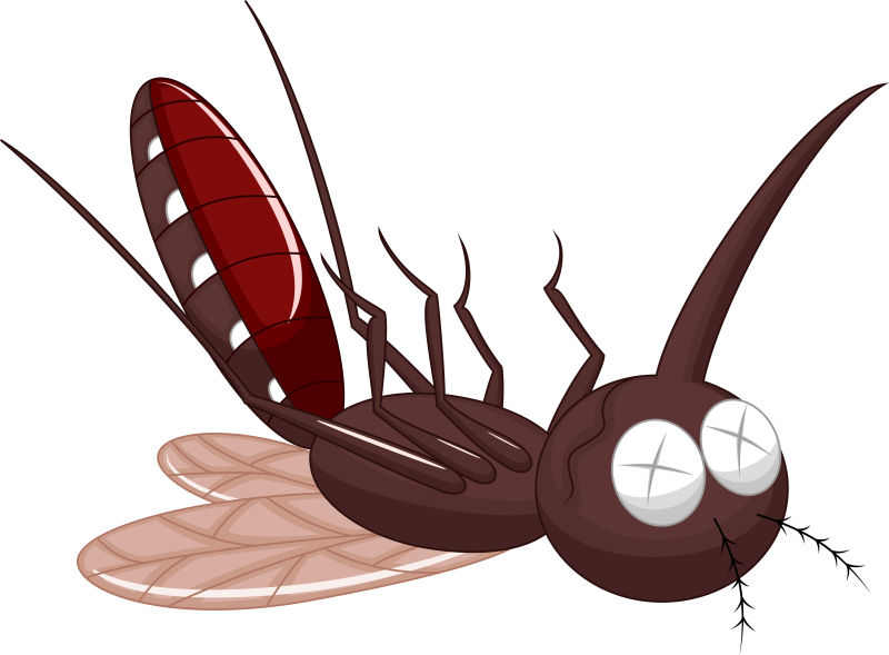 抽象矢量卡通死亡蚊子设计