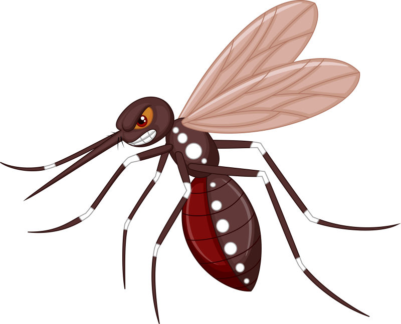 卡通愤怒的蚊子矢量插图