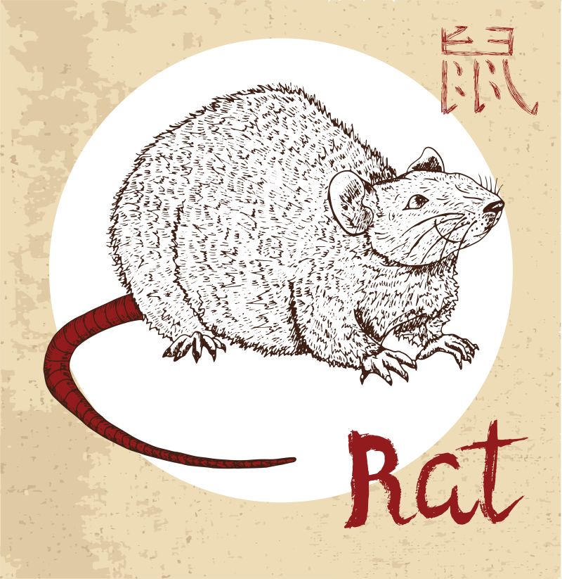 抽象矢量手绘老鼠插图设计