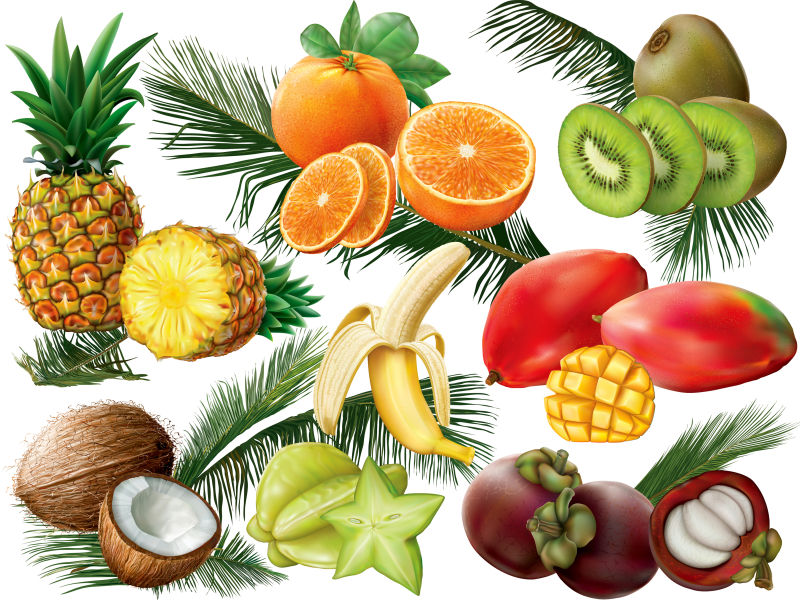 创意矢量新鲜的热带水果插图设计