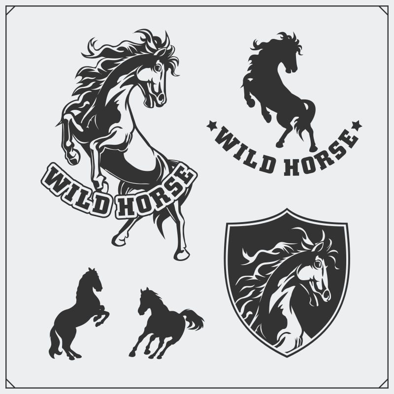 马纹章纹章体育俱乐部的标签标志和设计元素