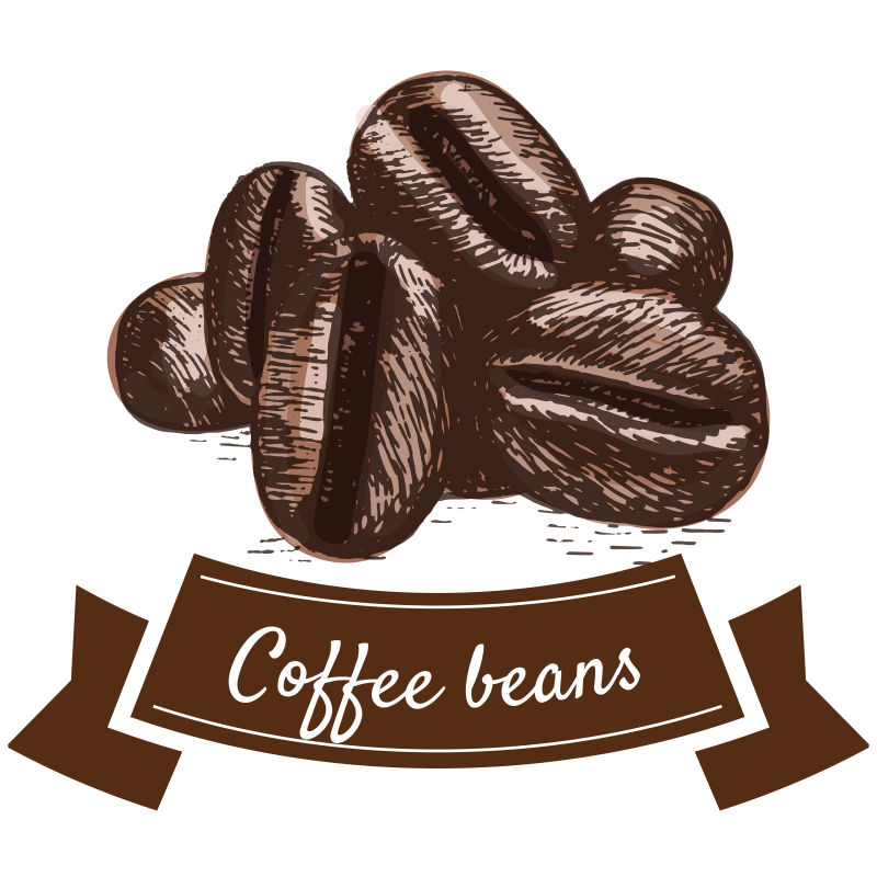 创意矢量手绘咖啡豆插图