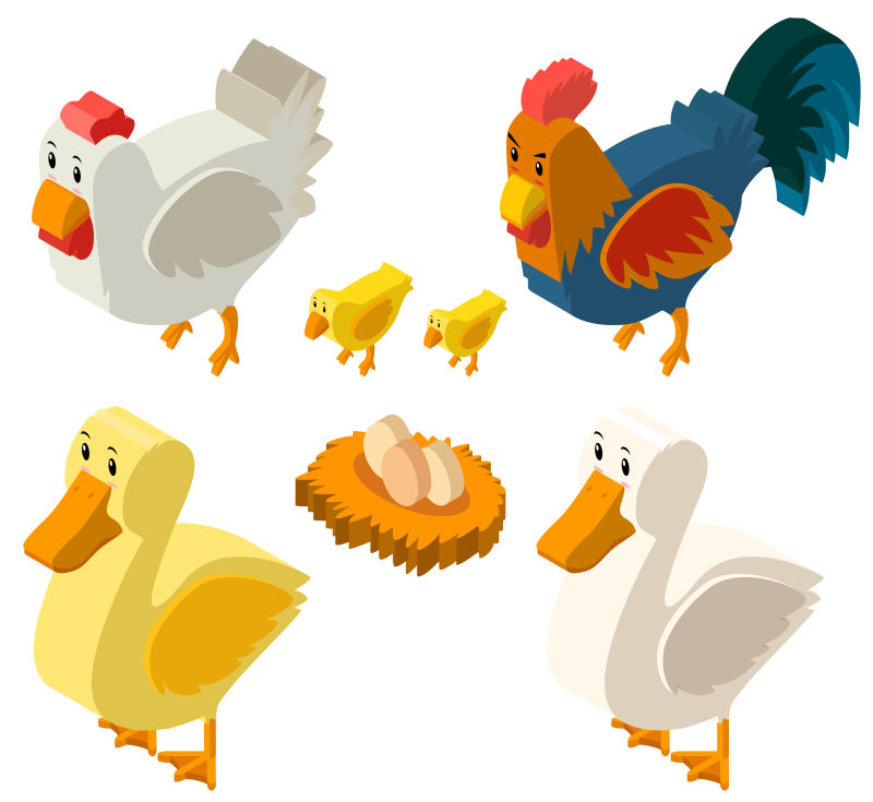 创意矢量鸡和蛋等距插图设计