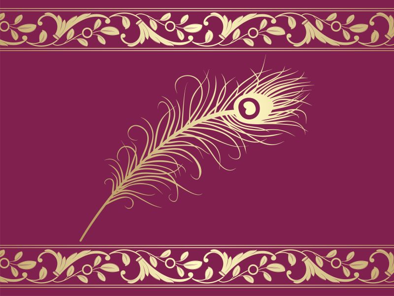 抽象矢量现代金色羽毛元素的装饰插图设计