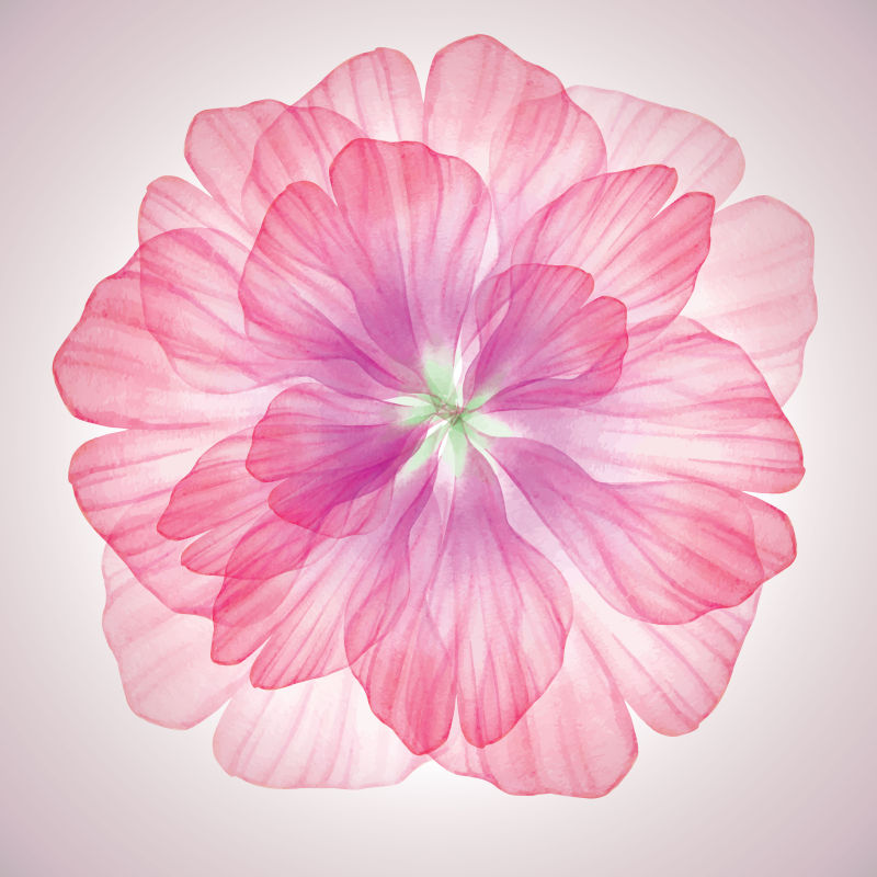 抽象矢量现代粉色水彩花卉背景