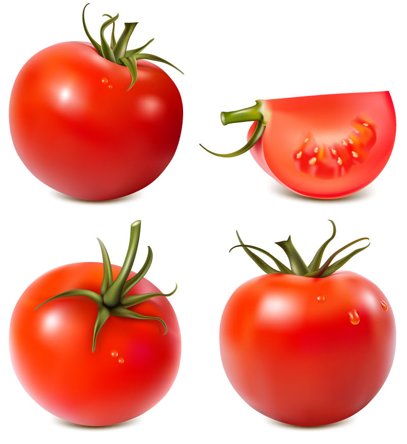 抽象矢量现代新鲜番茄设计