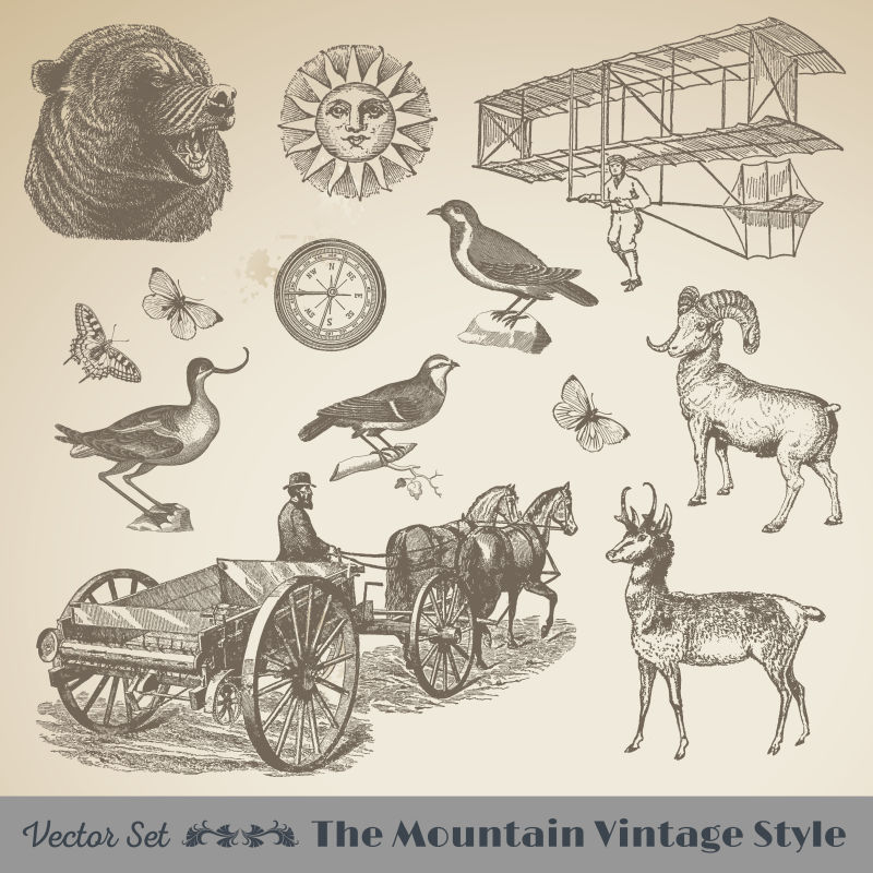 山区野生动物：古迹向量集收集完美的品牌餐厅网站传单编辑和插图工作