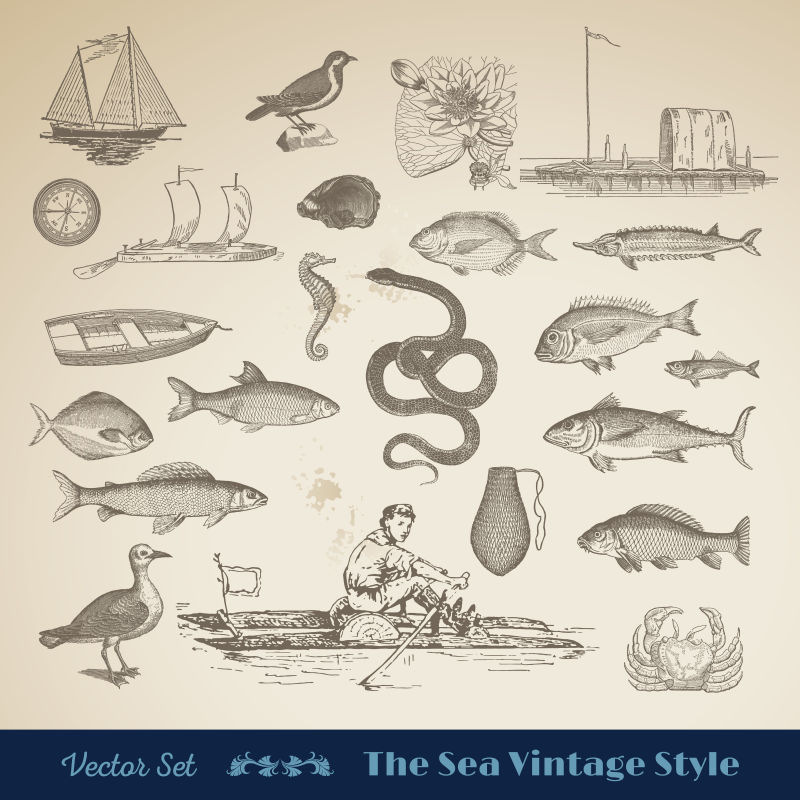 古董矢量集：海上航海设计元素完美的品牌餐厅编辑和插图工作