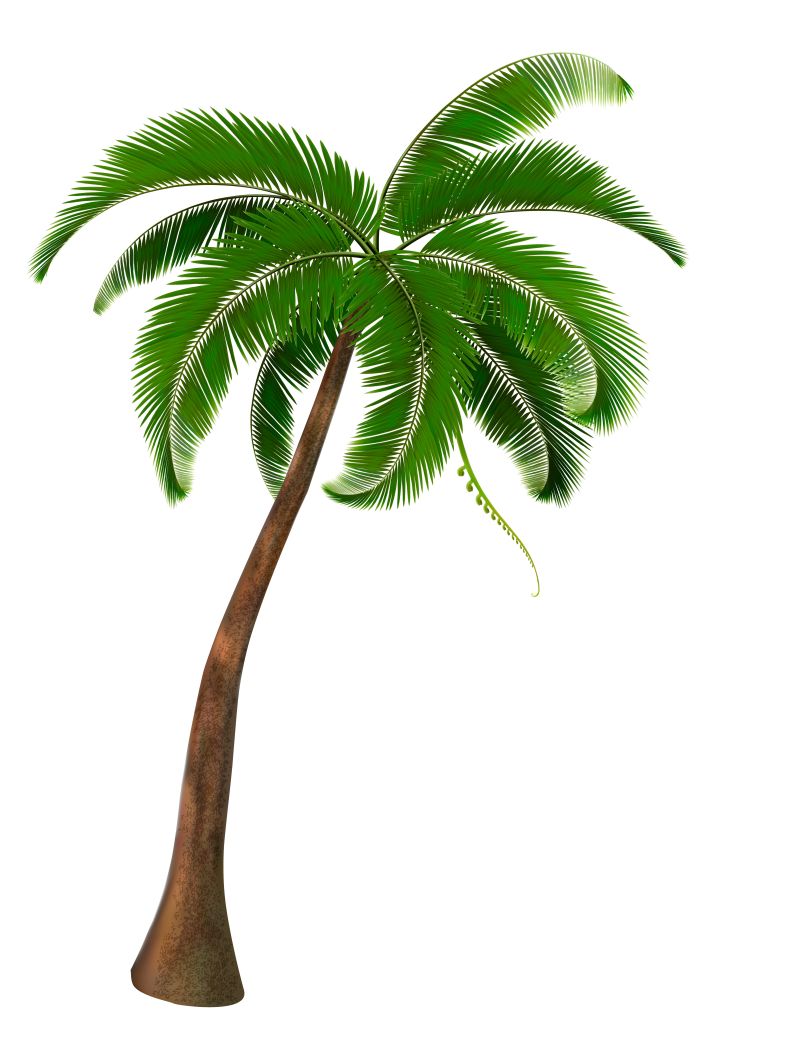 矢量现抽象代棕榈树设计插图