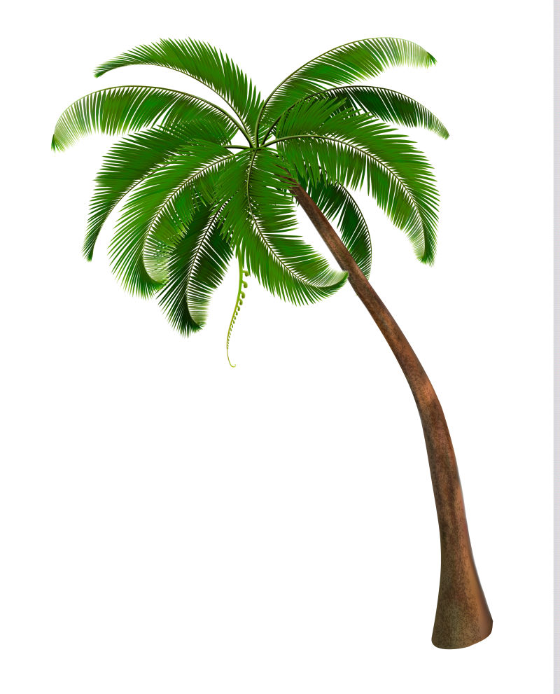 矢量现代棕榈树创意设计
