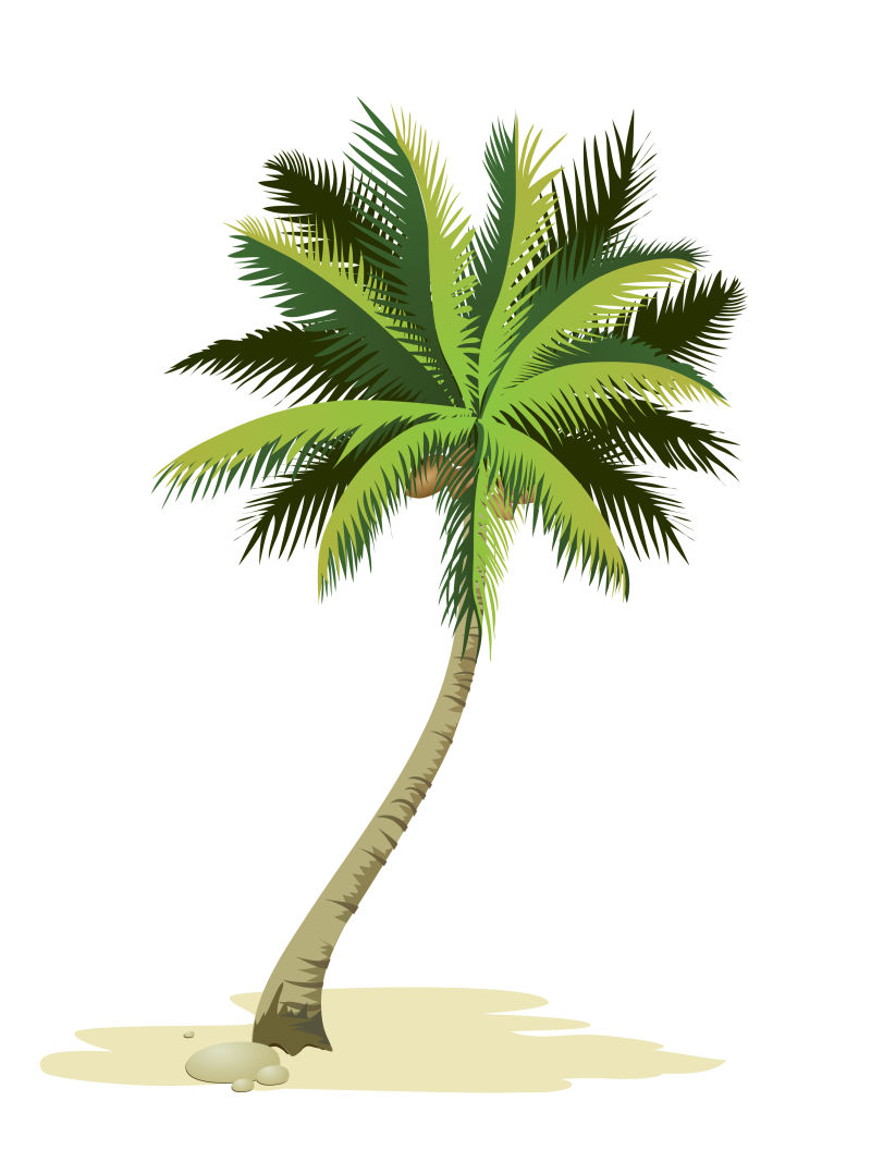 创意矢量棕榈树设计元素