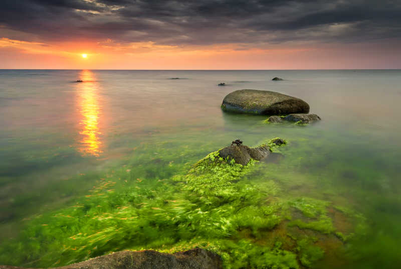 日出的保加利亚海边景观