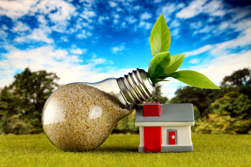 植物生长在灯泡和微型房屋内-背景为田野和蓝天-生态可再生能源概念-电价-家庭节能