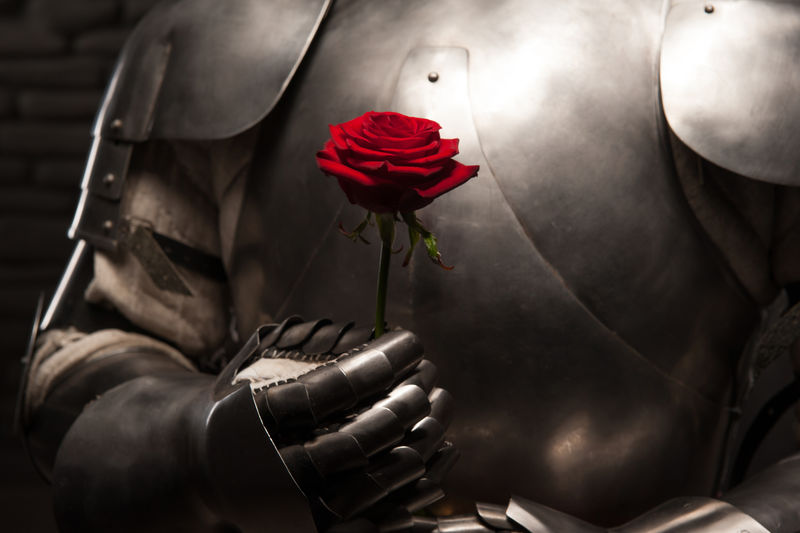 骑士送玫瑰给女士