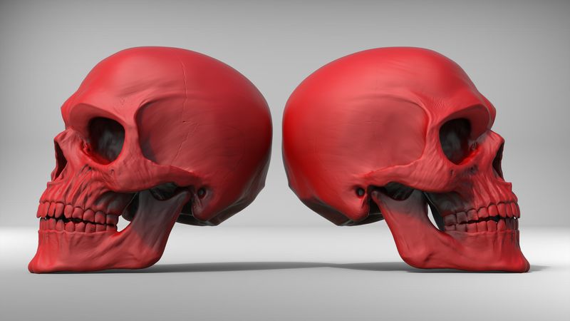 红色的头骨的3D插图