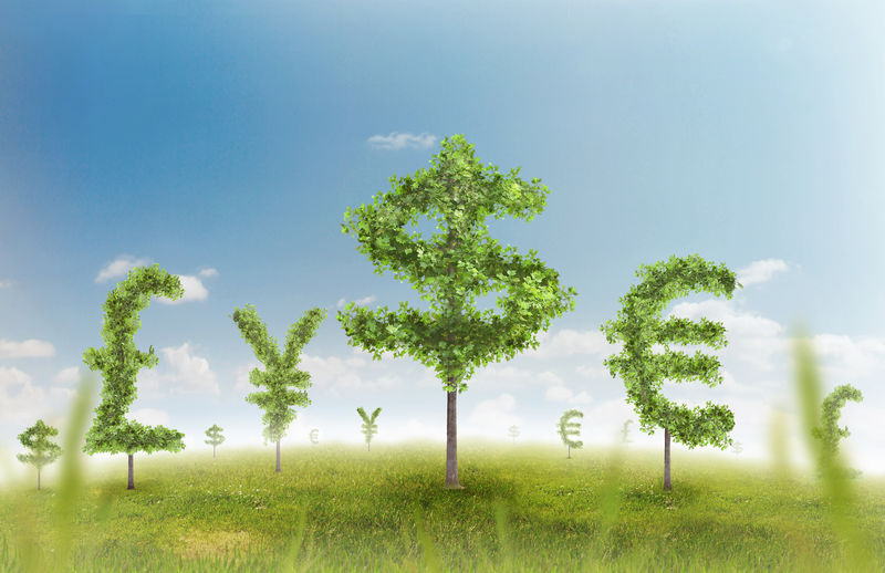 财务增长和成功的一个绿色的夏季天然绿色草地景观与单一的树木形状的货币符号显示商业理念日益繁荣和投资