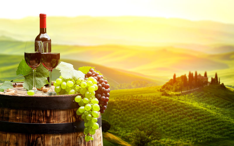 意大利托斯卡纳绿色葡萄园的红酒桶
