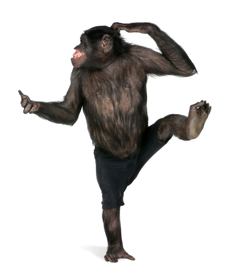 猴子一只脚跳舞