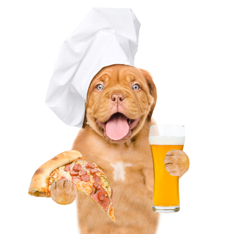 戴着厨师帽的滑稽小狗拿着披萨和一杯啤酒白底隔离