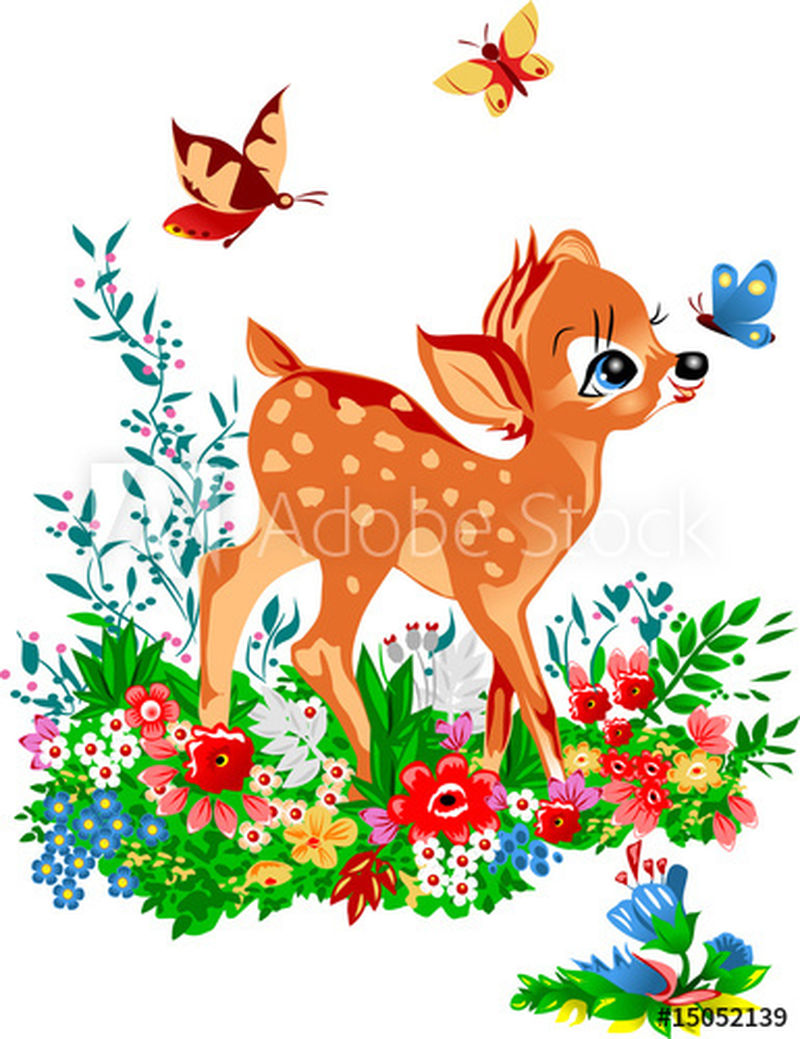 色彩斑斓的林间空地上的小鹿；小鹿；