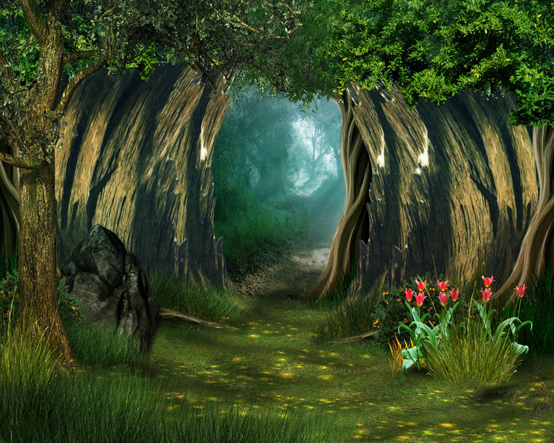 童话神秘森林