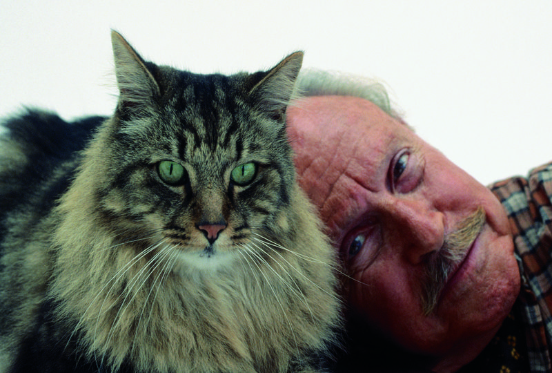 老男人与宠物猫